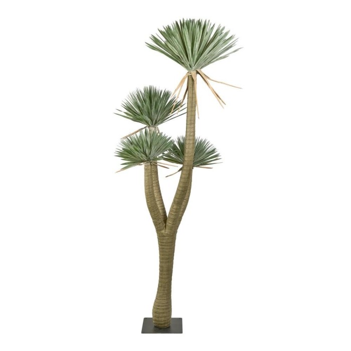 PIANTA YUCCA x 3 CM.305